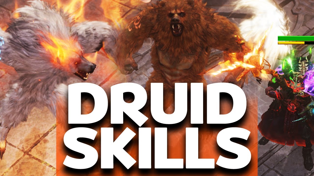 Druid Will Change Diablo Immortal! Full Skills & Details