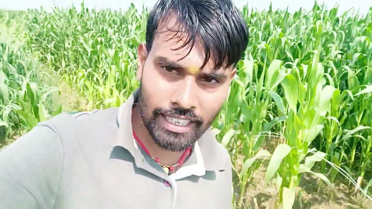 अब हँसी रोक के दिखाओ।🤣🫣🤣🫣🤣 // #comedykingdom #viral #comedy #funny #tranding #subsceibe