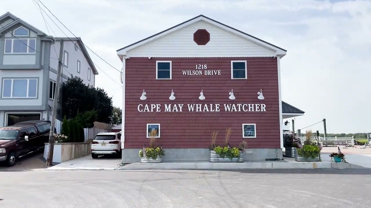 Cape May Whale & Dolphin Watching