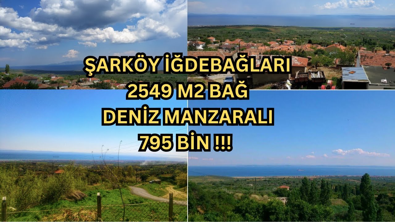 ŞARKÖY İĞDEBAĞLARI 2549 M2 BAĞ DENİZ MANZARALI 795 BİN !!! 