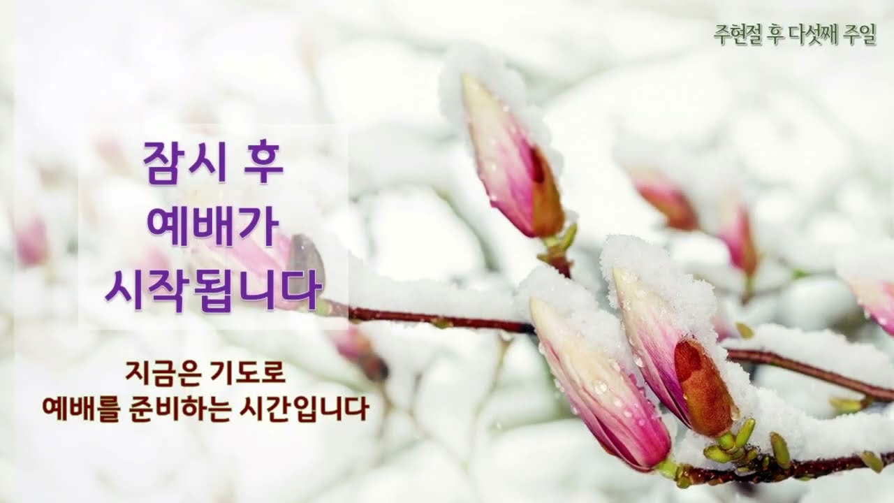 예배 전 PPT 템플릿 - 2023년 2월