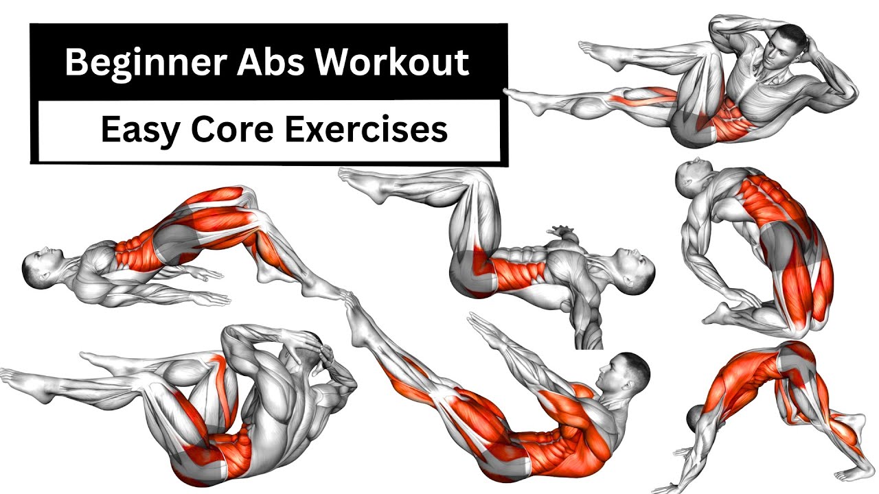 Beginner Abs Workout | Easy Core Exercises Without Equipment