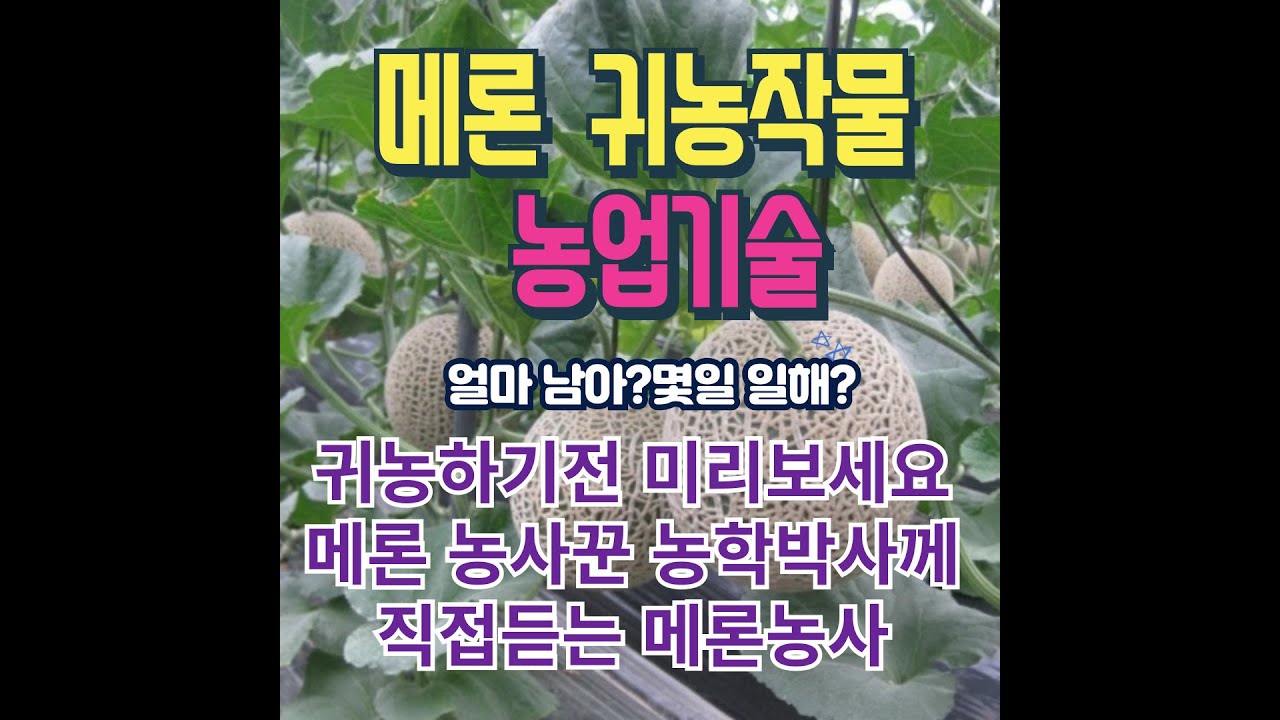아열대작물 메론 재배기술 4회.  농사꾼 농학박사 나종대 #귀농교육 #귀농작물 #농사꿀팁  #메론 #농업기술