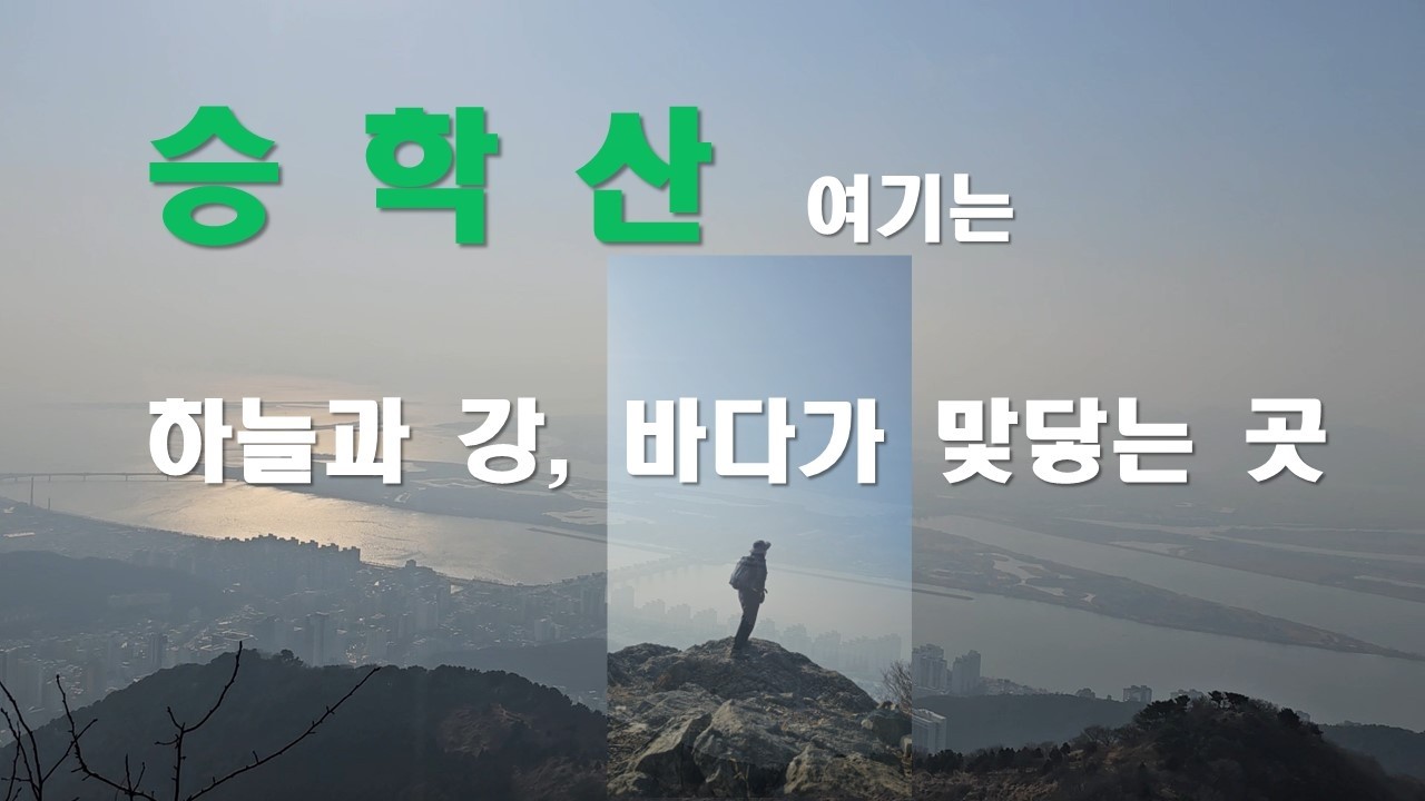 #승학산 #부산승학산 #부산등산 #부산여행 #부산가볼만한곳 #낙동강뷰 #승학산억새#등린이 #초보등산코스 #부산등산코스 #주말나들이 #힐링여행#제석골#제석골산림공원#바다뷰#매화