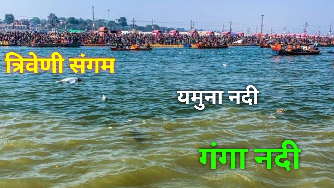 Triveni Sangam Allahabad Prayagraj  त्रिवेणी संगम प्रयागराज । Sangam Allahabad Prayagraj
