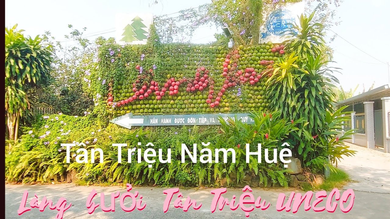 Khám phá Làng Bưởi  Tân Triều Năm Hữu có 1 không 2 Đồng Nai Du lich Sinh thai Âm thức sinh thai