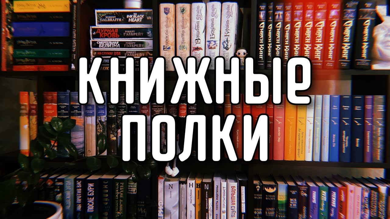 Мои КНИЖНЫЕ ПОЛКИ 2025 / Домашняя библиотека