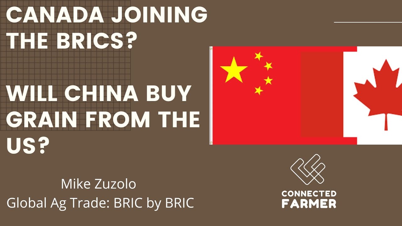 Is Canada Joining the BRICS? And When China Will Start Buying US Grain?
