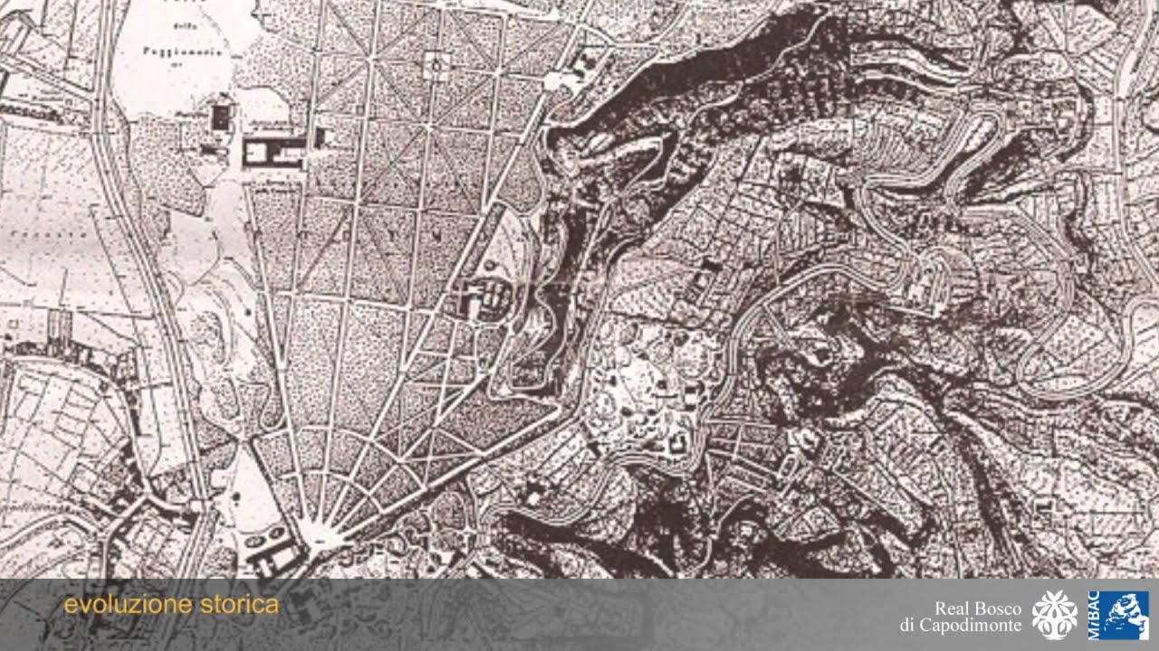 Real Bosco di Capodimonte - Videoguida - Evoluzione Storica
