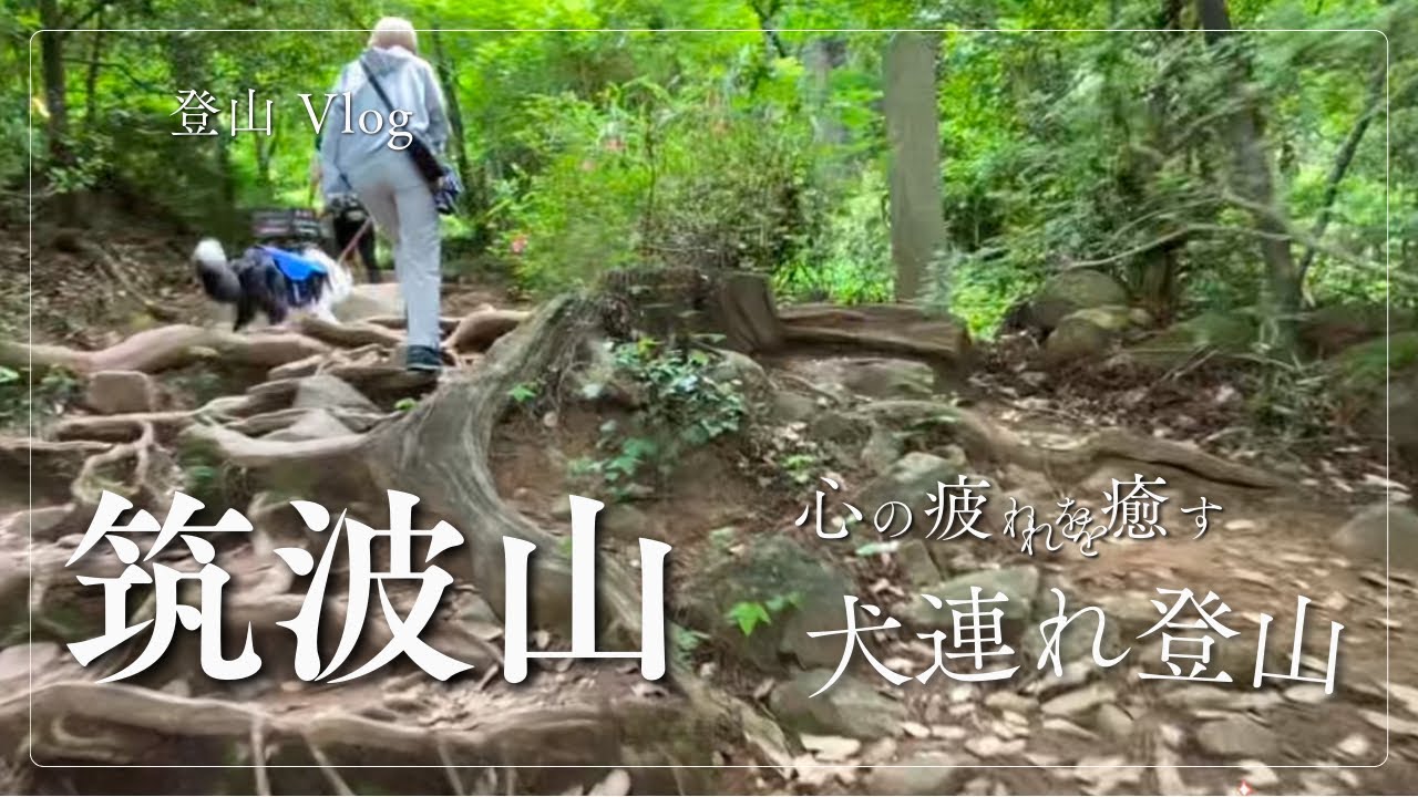 登山Vlog  筑波山　心の疲れを癒す 犬連れ登山