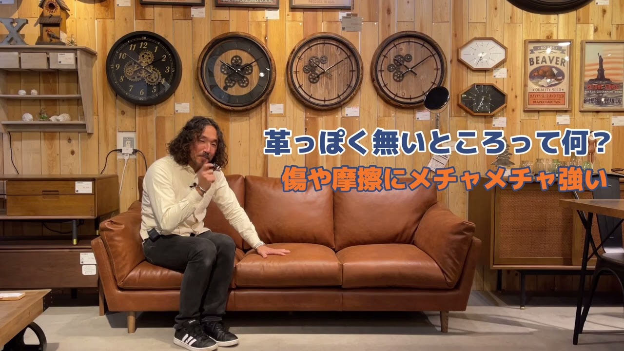 「ペット可！プロが薦める丈夫なソファ 編」おしゃれ家具インテリアショップ 取手・つくば・柏 周辺「ブームス」：茨城 千葉