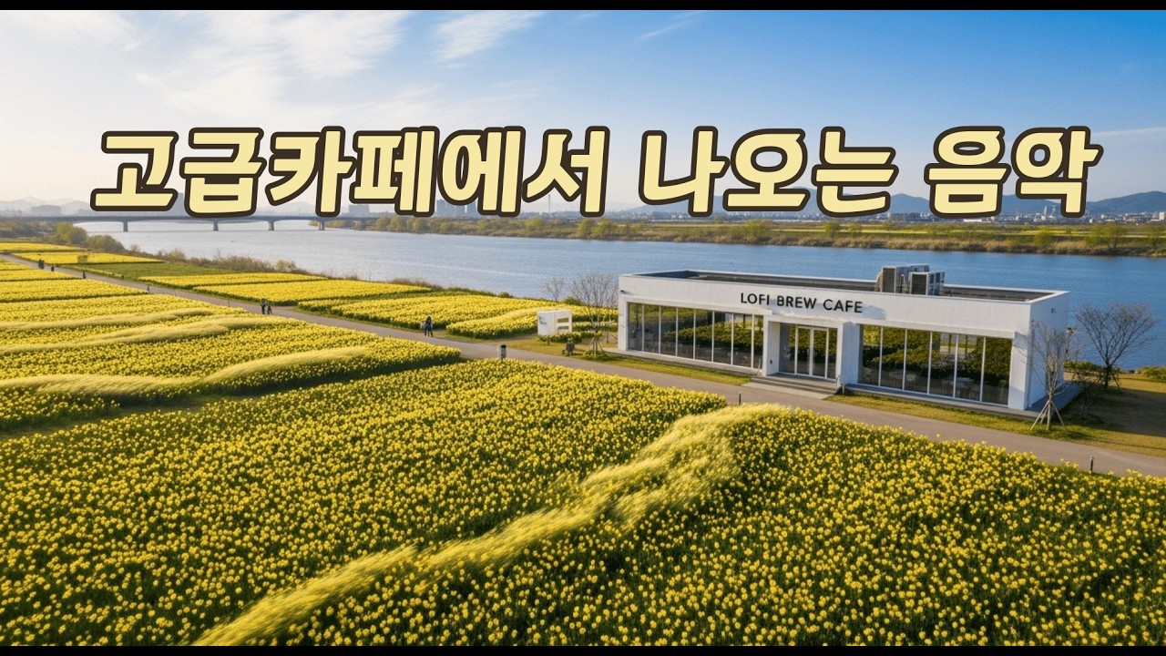 🌤 화려한 봄날·감성 풍부한 로파이 | Study · Work · Deep Focus   중간광고없음🔕