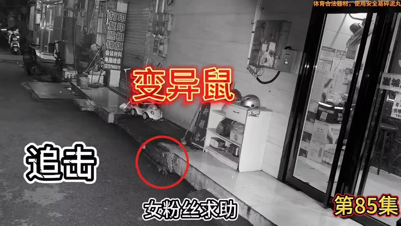 接粉丝求助消灭变异鼠，事后还与女粉丝共进晚餐，真是美好的一天！#解压视频 #弹弓#高手在民间