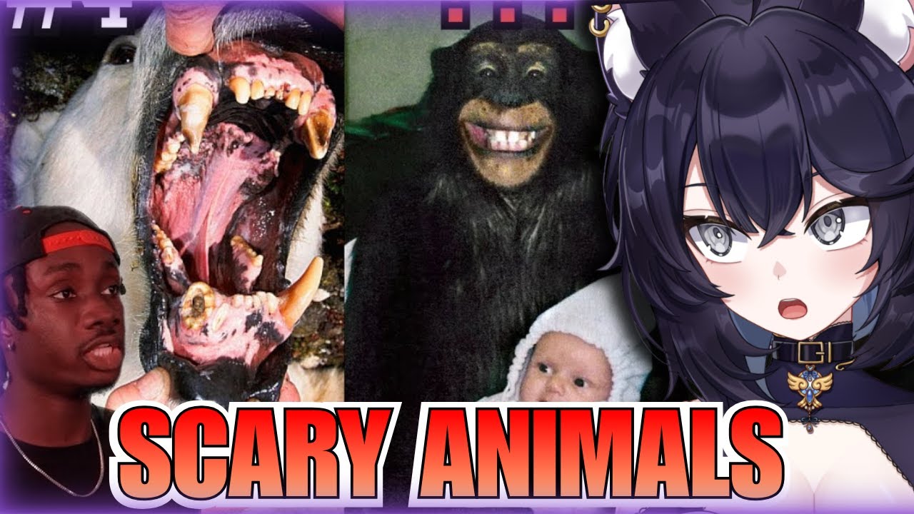 10 Most Disturbing Ways Animals Can Hunt You | Vtuber Biologist REACTS to Casual Geographic