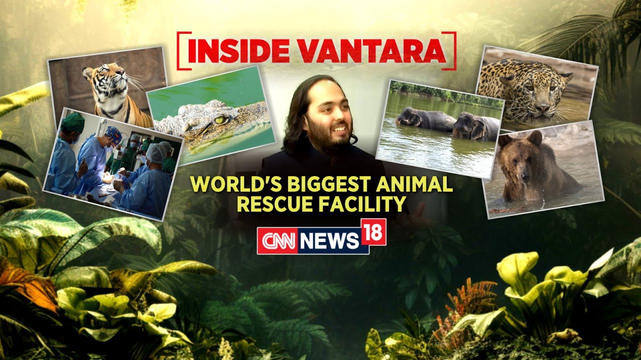 Inside Vantara: World's Biggest Animal Rescue And Rehabilitation Center In Gujarat's Jamnaga |News18