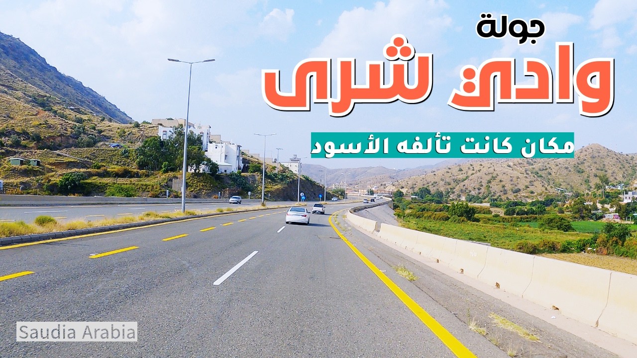 وادي شرى : تاريخ حفرته أقدام الأسود