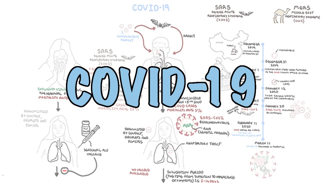 **COVID-19**  a visual summary of the new coronavirus pandemic
