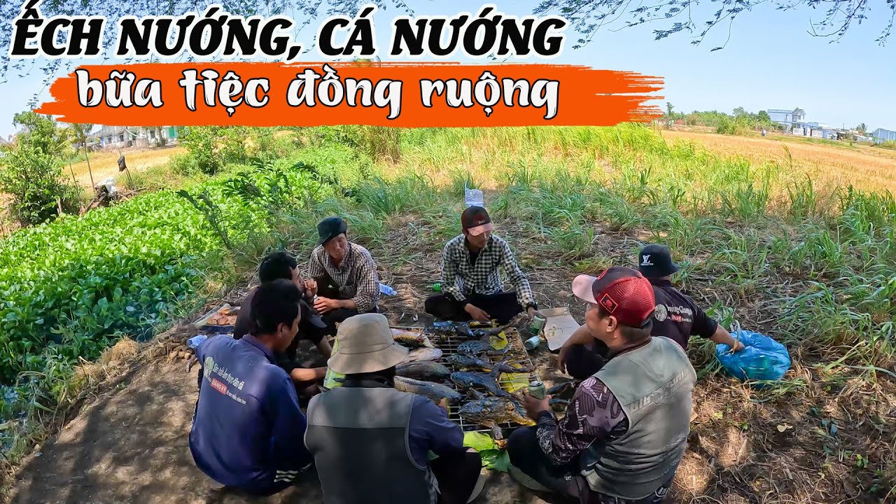 Bắt được vài con Ếch đồng, xin được ít cá lóc, nướng than, nhâm nhi dân dã | TGSB #827