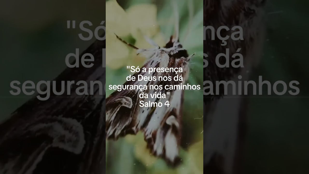 Salmos 4🌄 #bibliasagrada #salmos #salmos4