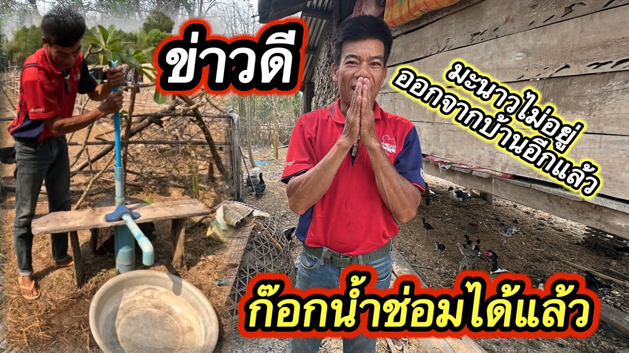 ￼ ด่วน‼️ มะนาวไม่อยู่ที่นาอีกแล้ว น่าสงสารคนเป็นผัว ต้องรับมะนาวให้ได้ #ตู้สิทธิปันสุข 19/3/2026￼