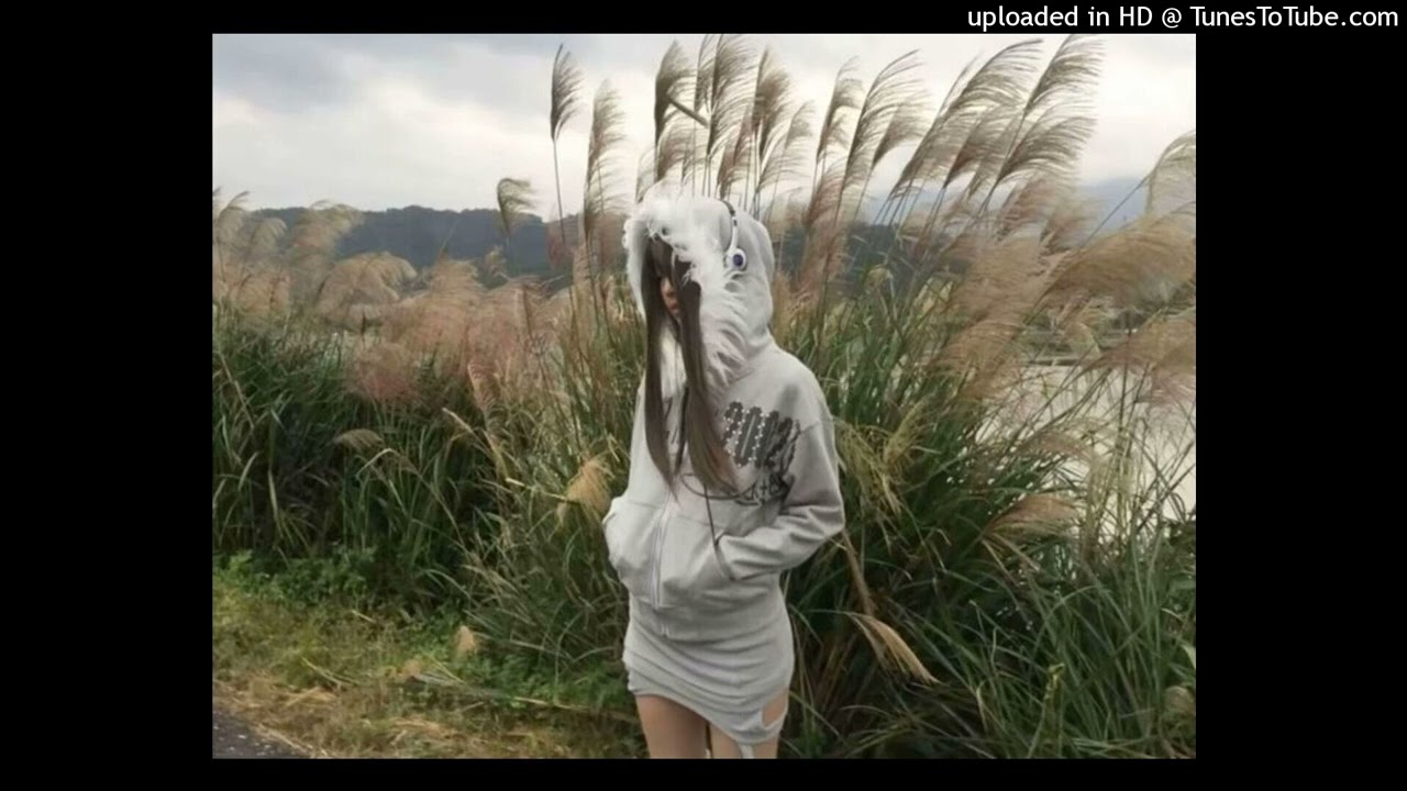 free jane remover + kmoe + gunnr type beat - porcelain