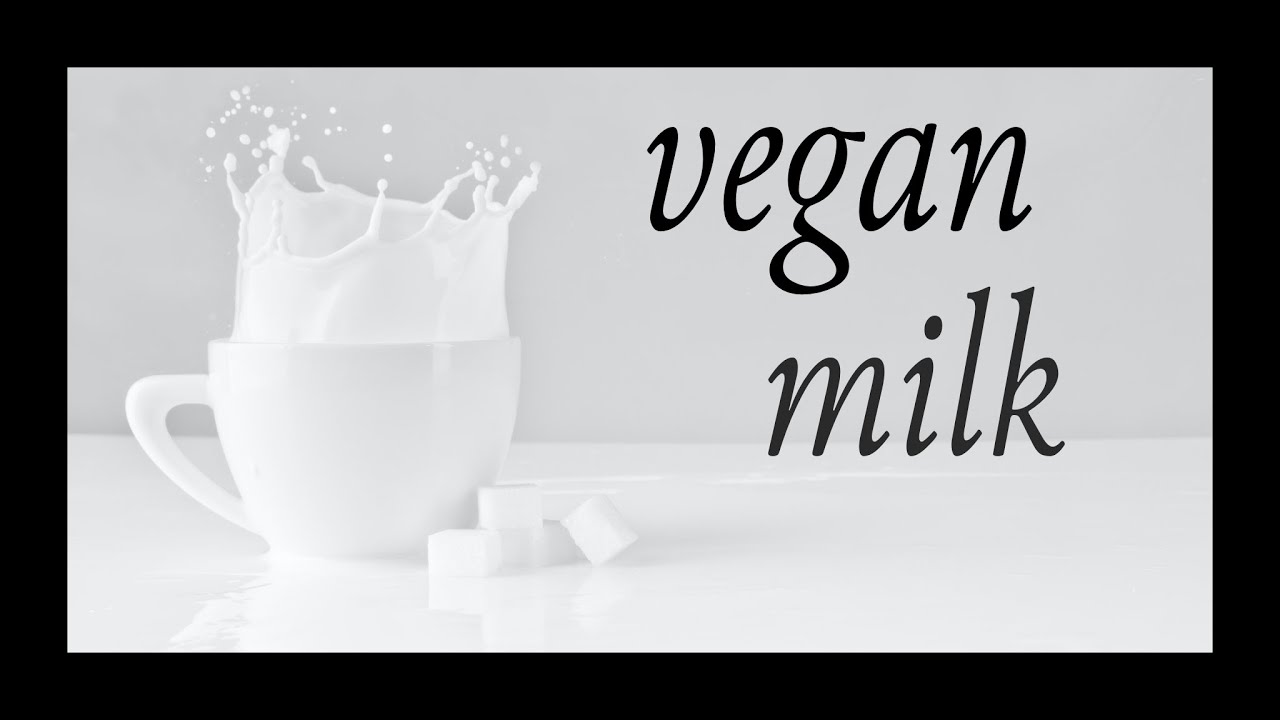 Vegan Milk | How make Plant Milk | Plant-Based Vegan Hemp Milk Recipe