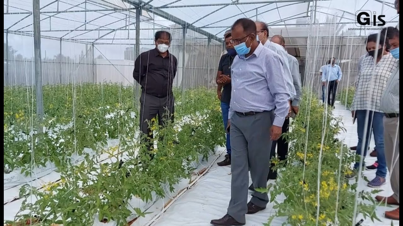 Fairtrade Cooperatives: Minister Bholah visits hydroponic project in Grand Gaube