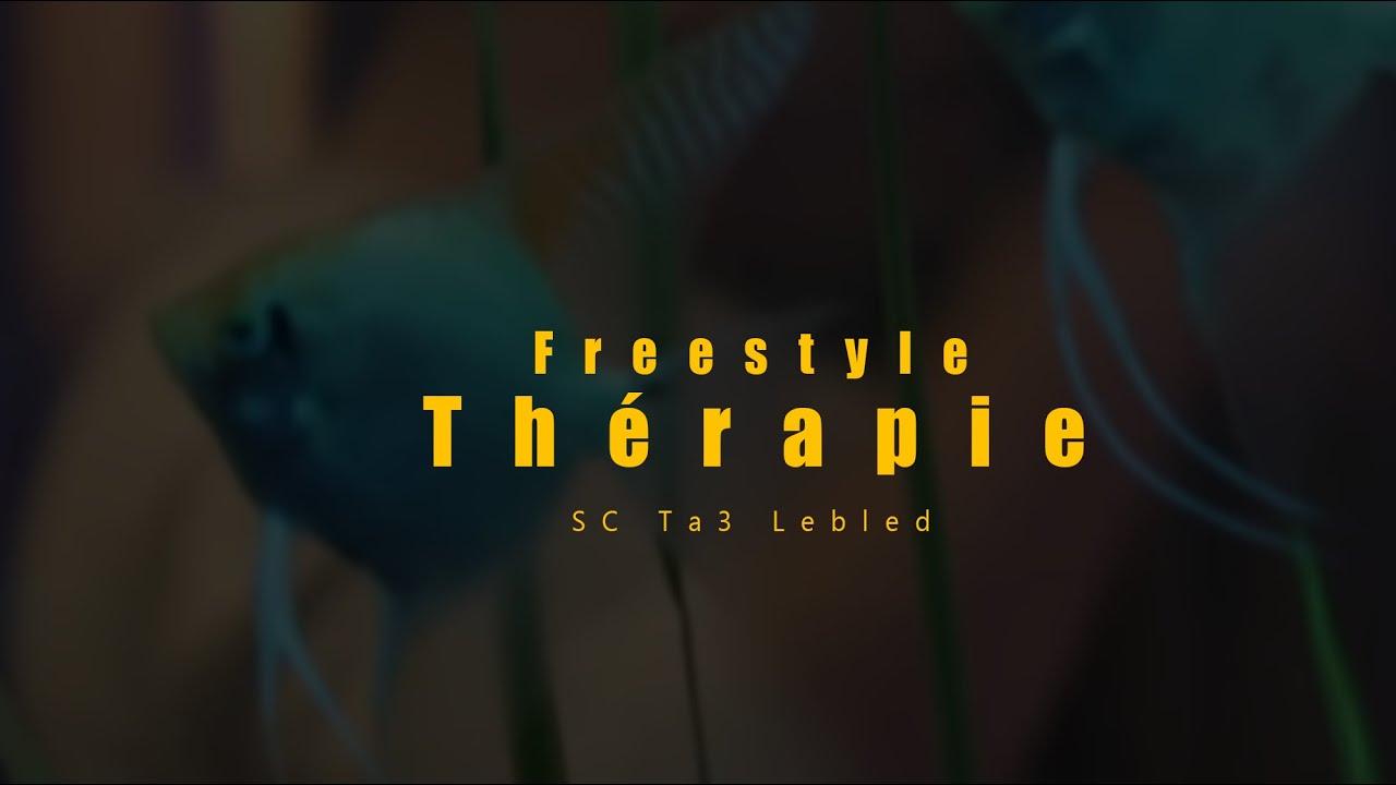 SC PAPI - Freestyle Th&eacute;rapie (Official Music Video)