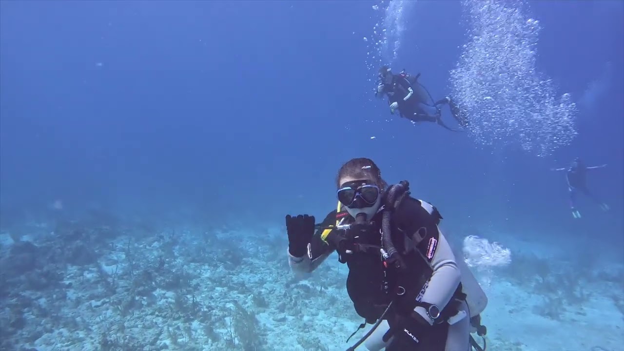 Nassua Diving 2025