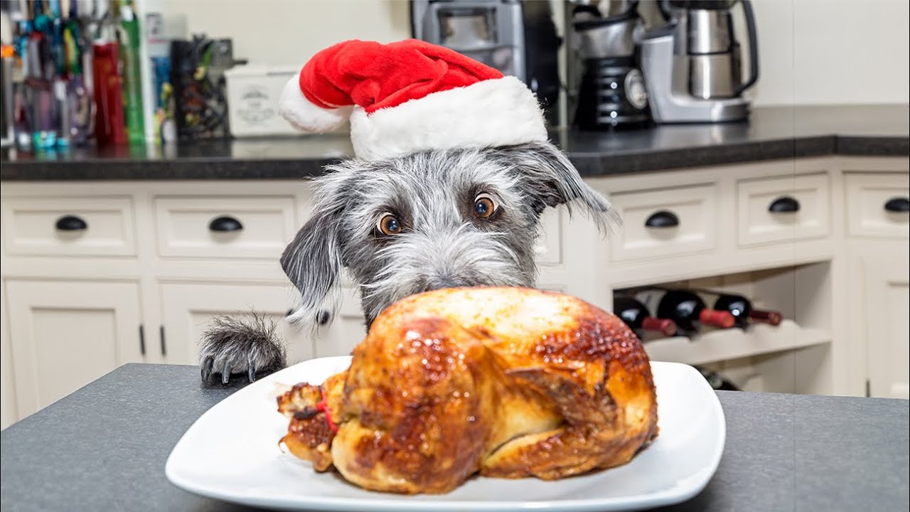 Christmas Food Your Dog Can & Can't Eat