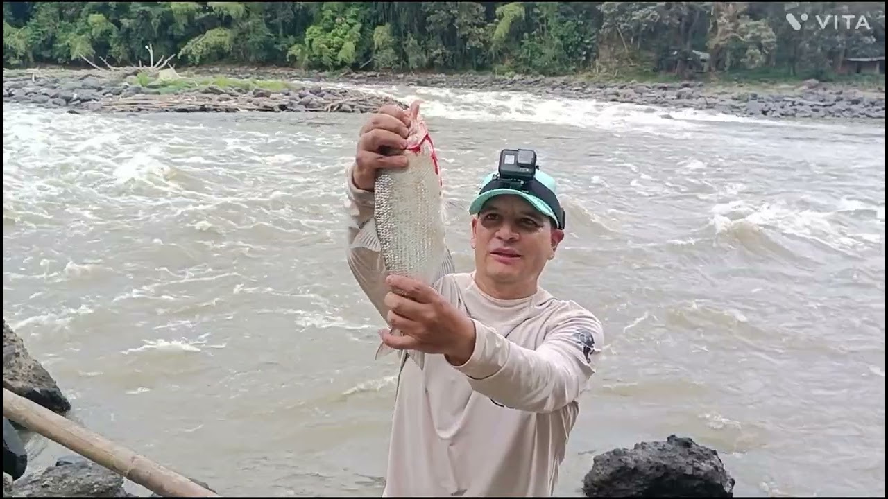 estación Pereira pesca de Zabaleta paloma