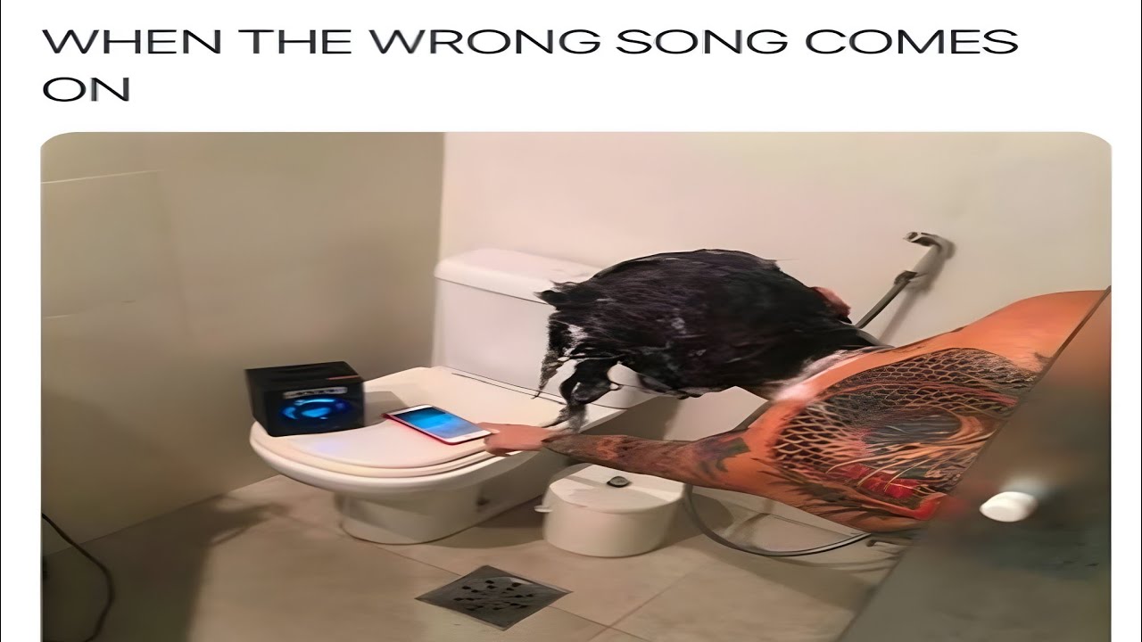 POV MEMES you can't relate to