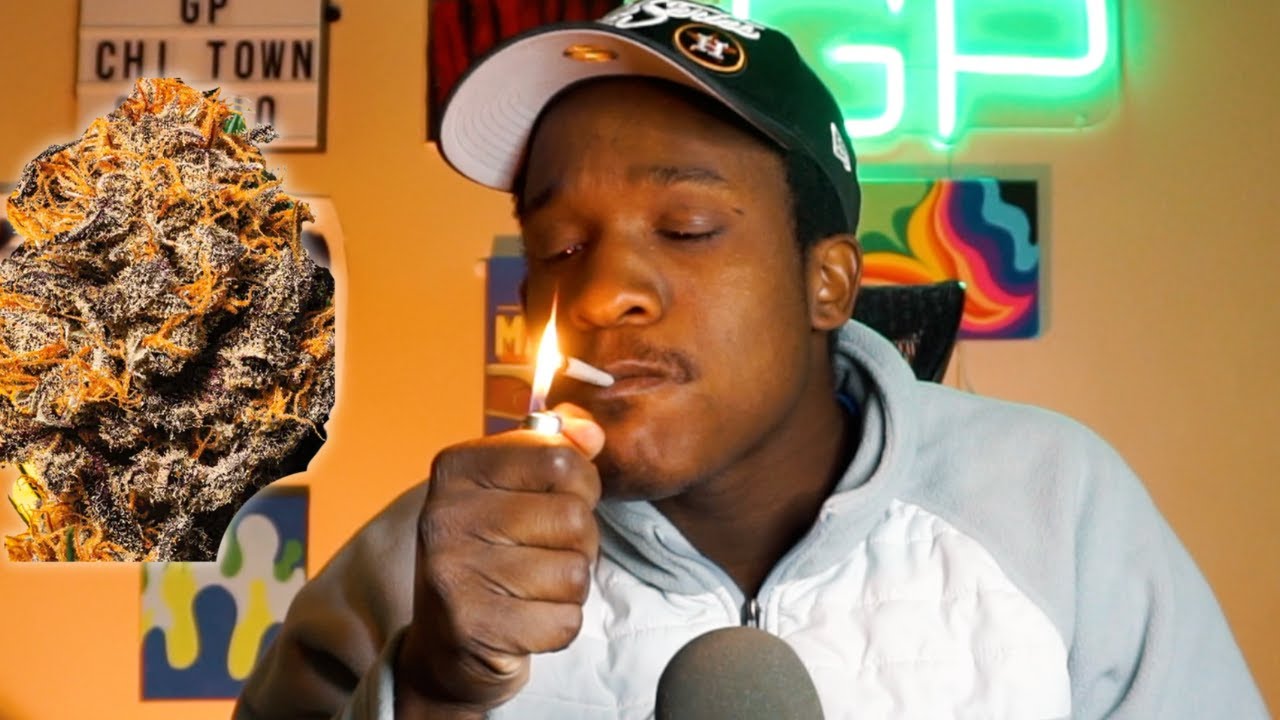 Black Dog Kush Sesh