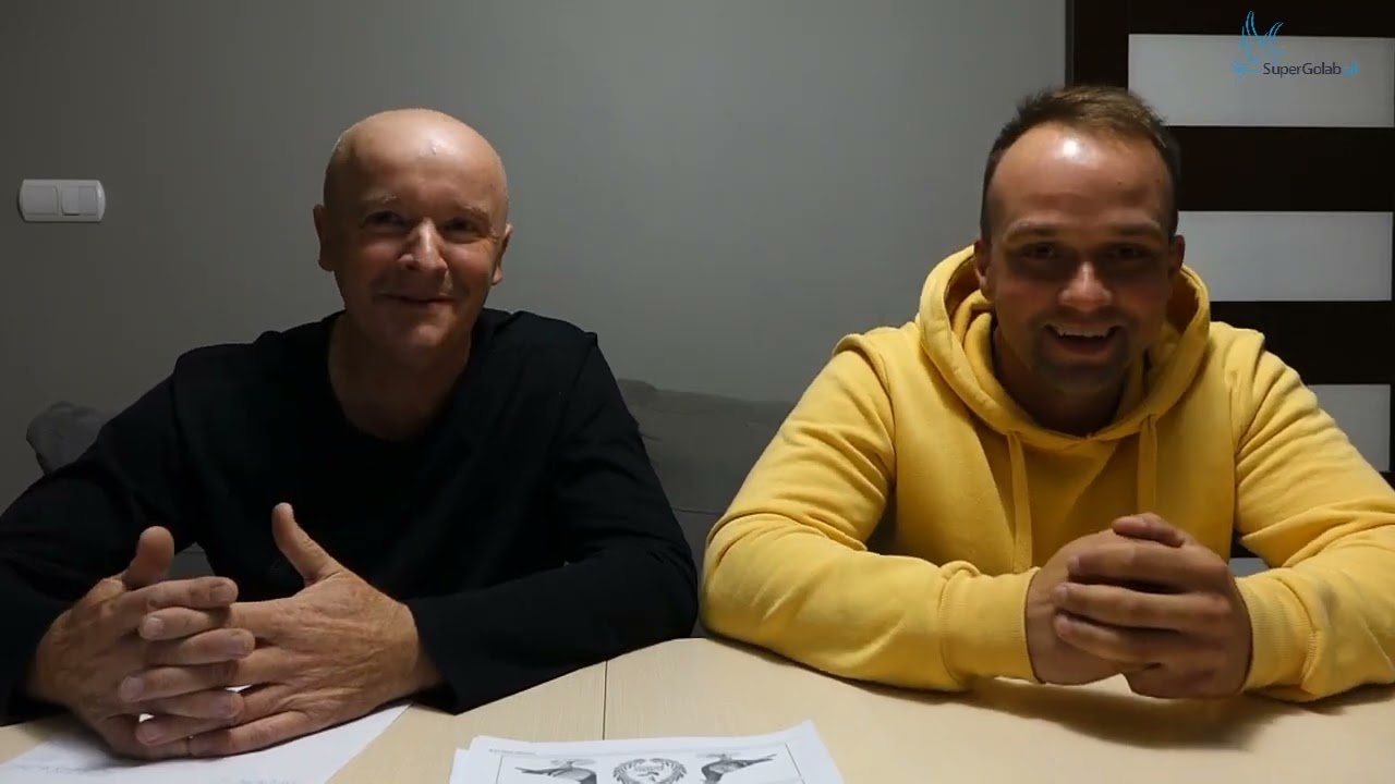 Wiesław Ragus - Czas pierzenia  najważniejszy okres w hodowli gołębi