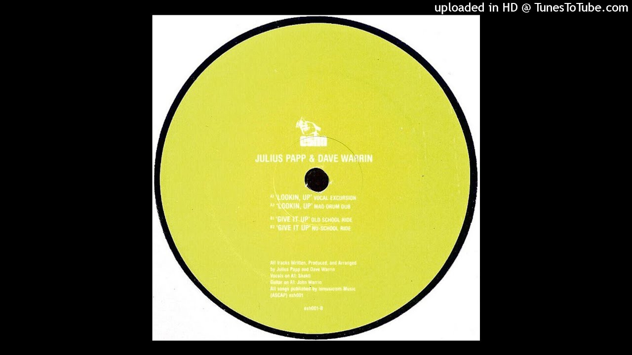 Julius Papp & Dave Warrin | Looking Up (Vocal Excursion)