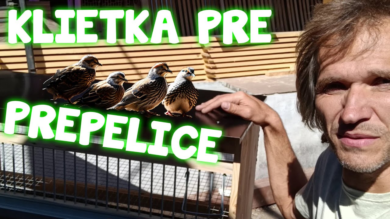 Výroba klietky pre prepelice