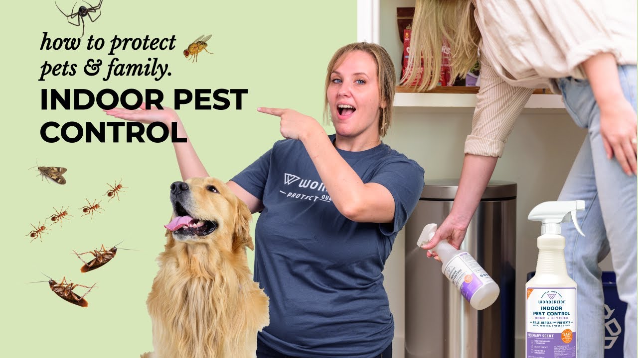 How To: Wondercide Indoor Pest Control spray