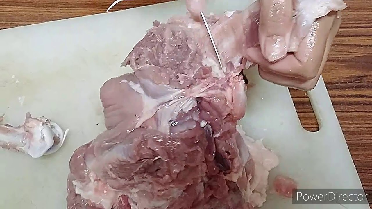 خلى ورك الديك الرومى فى اقل وقت وتحدى