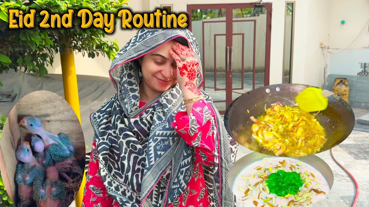 Eid Second day Routine My New Dress 👗🥻 Family Vlog Village life 