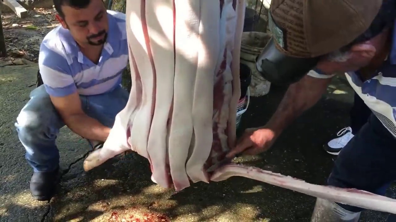 Jak zrobić skwarki wieprzowe KROK PO KROKU | Jak zrobić skwarki wieprzowe w domu