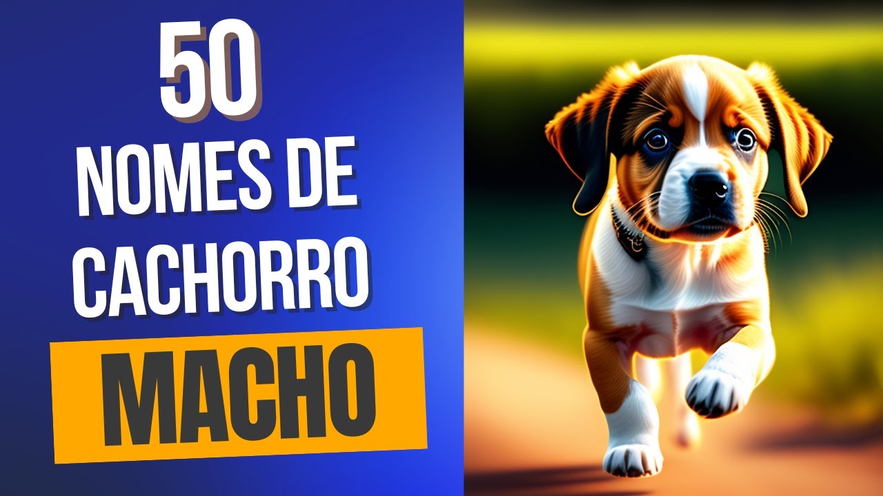 Nomes de cachorro MACHO