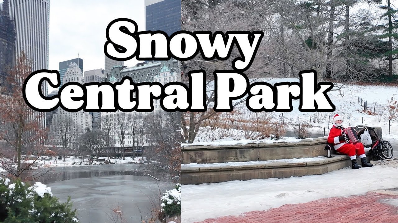 Snowy Central Park Walk  🇺🇸 ❄️ Relaxing Piano Music | Winter Walking Tour