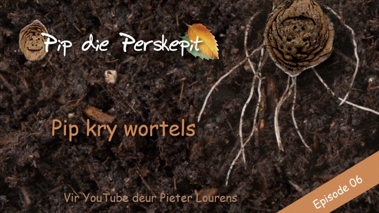 Episode 06/45 - Pip kry wortels  (Gedramatiseerde Klankverhaal)
