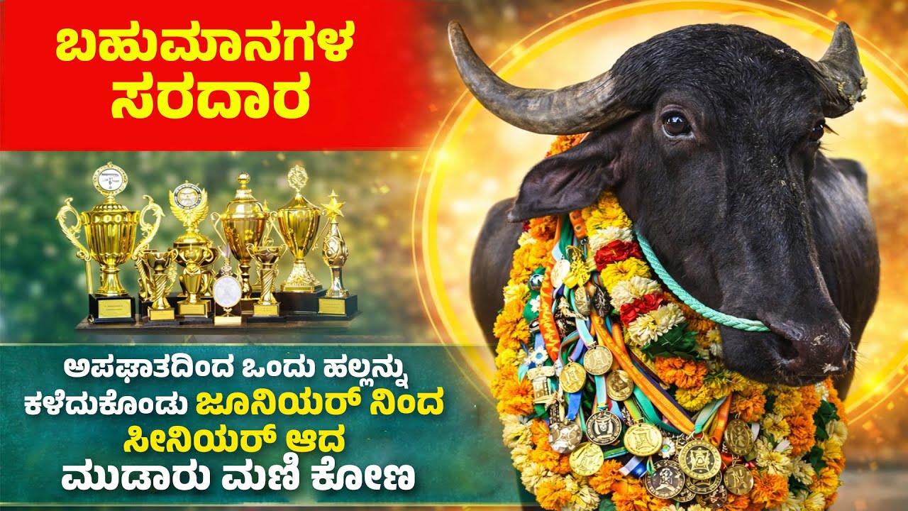 ಮುಡಾರು ಹಚ್ಚೋಟ್ಟು ರೋಹನ್ ರಂಜಿತ್ ಫೆರ್ನಾಂಡಿಸ್,ನಲ್ಲೂರು ಬಜಗೋಳಿ ಟೀಮ್ ಗೆ ಹೆಸರು ತಂದುಕೊಟ್ಟ ಕೋಣ
