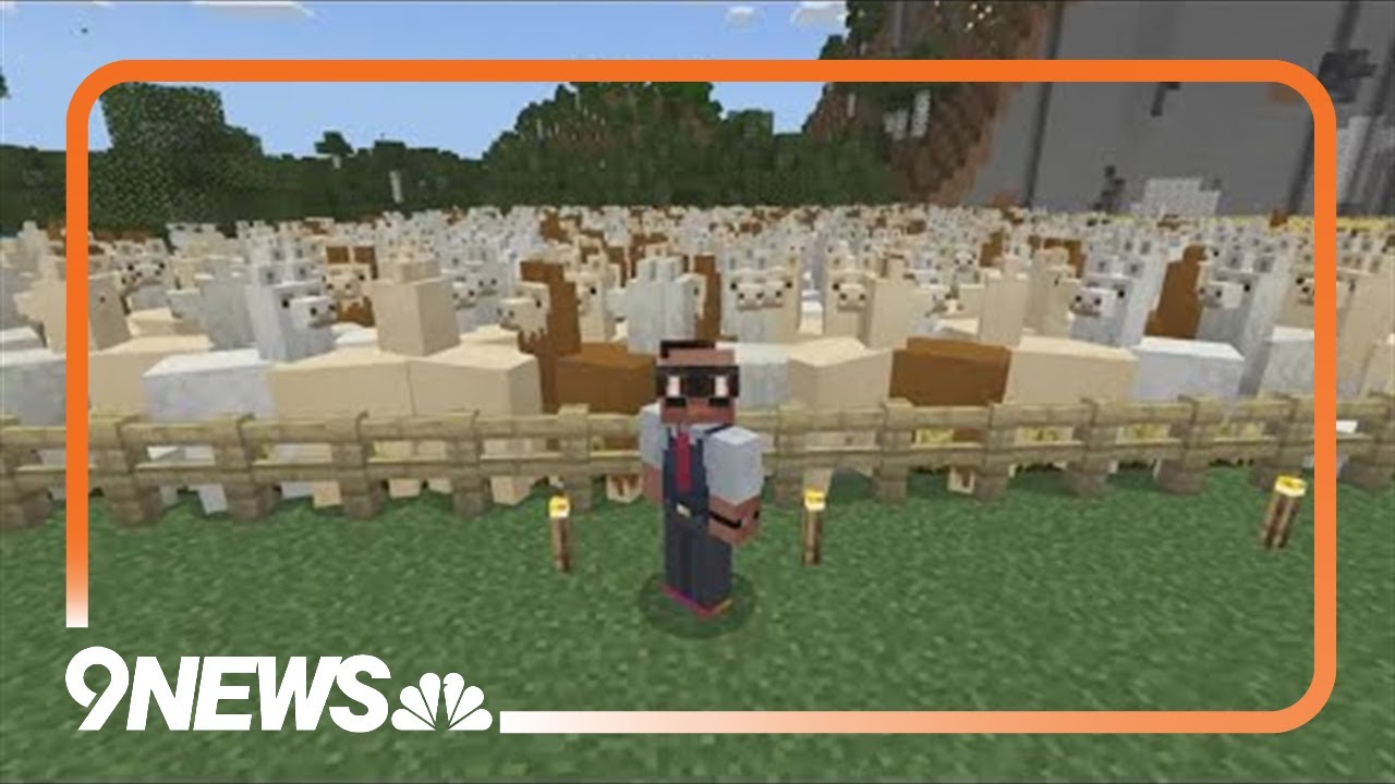 Colorado mental health center offering Minecraft therapy