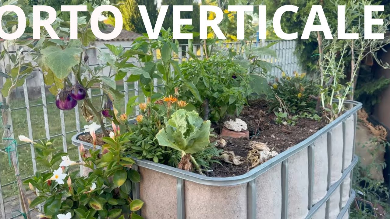🌿 HO COSTRUITO UN ORTO VERTICALE CON UNA CISTERNA USATA! ♻️