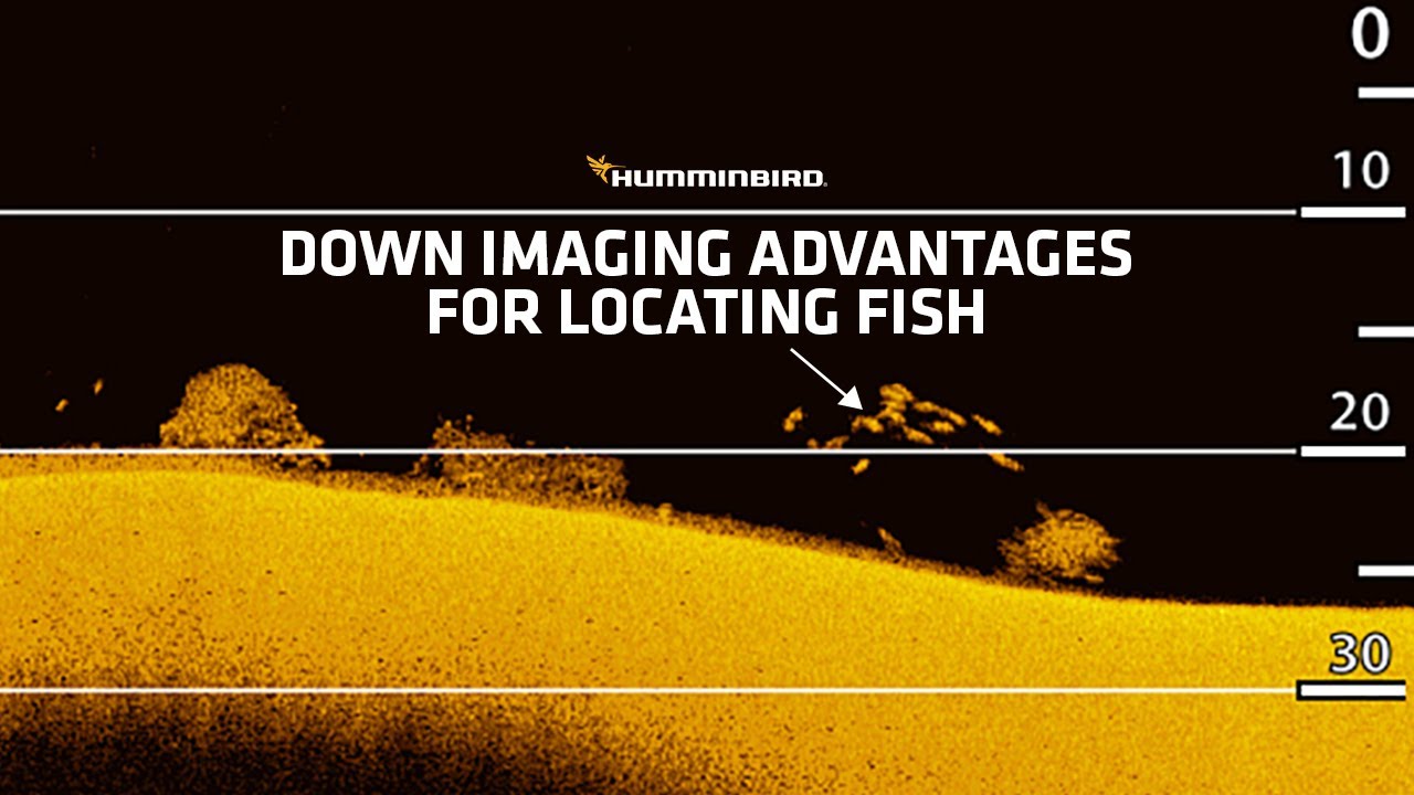 Down Imaging Advantages for Locating Fish