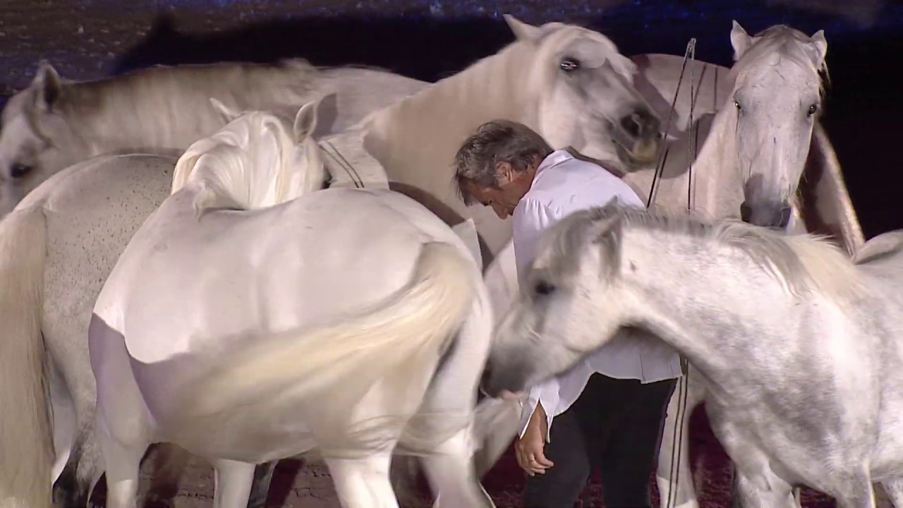 Jumping Indoor Maastricht 2019 - Jean-François Pignon