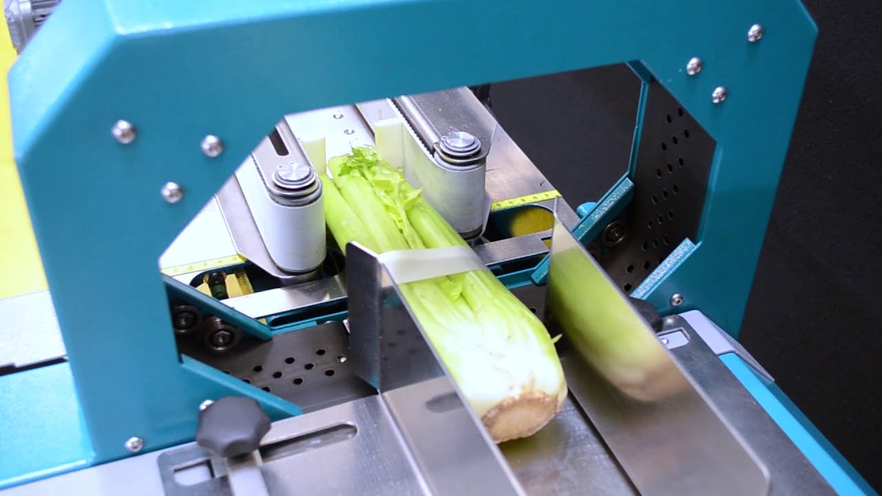 Sarco Packaging Proband V1000  geautomatiseerd banderolleren