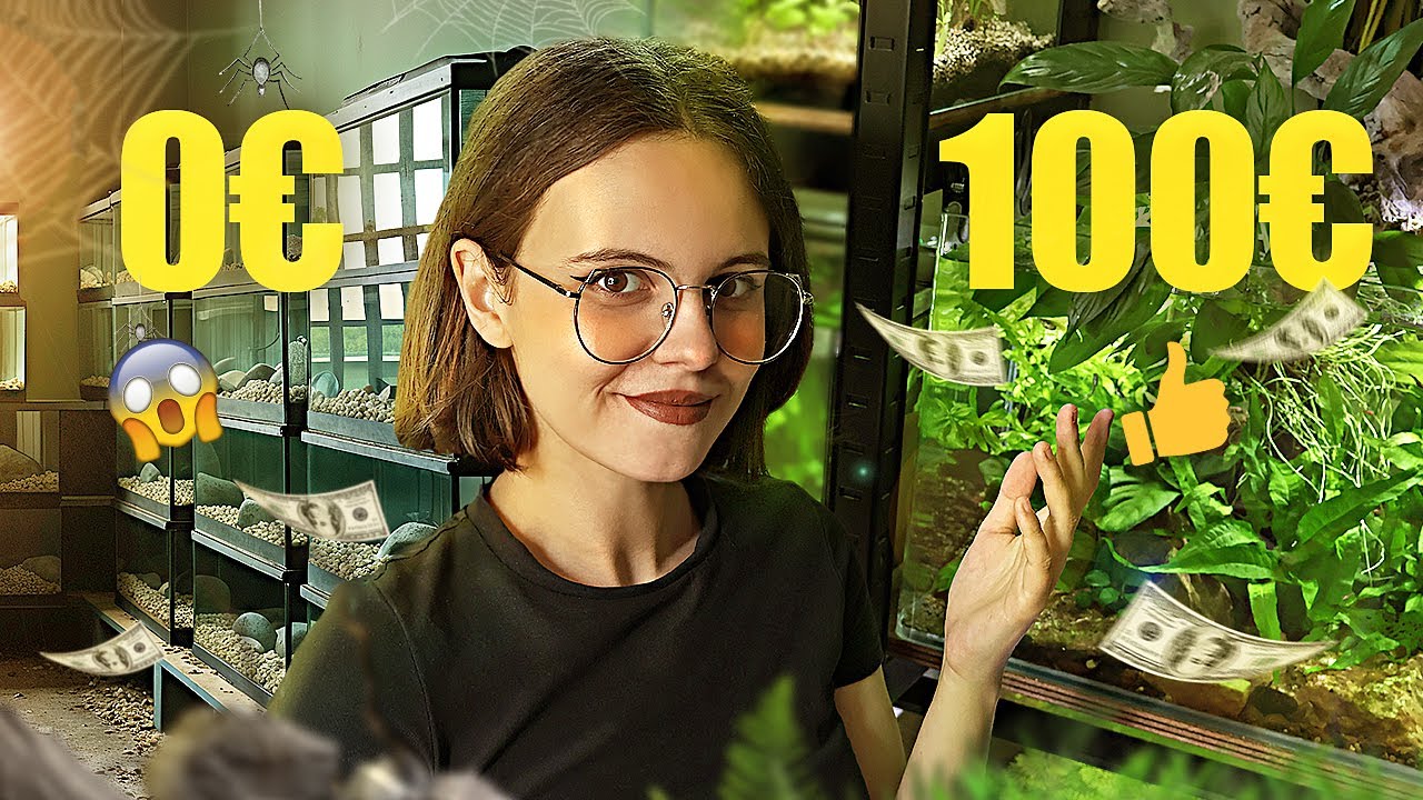 JE FAIS UN AQUARIUM POUR MOINS DE 100 EUROS ! 😱 Aquascaping en LowTech 🌿🐟